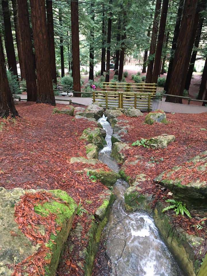 Center Parcs