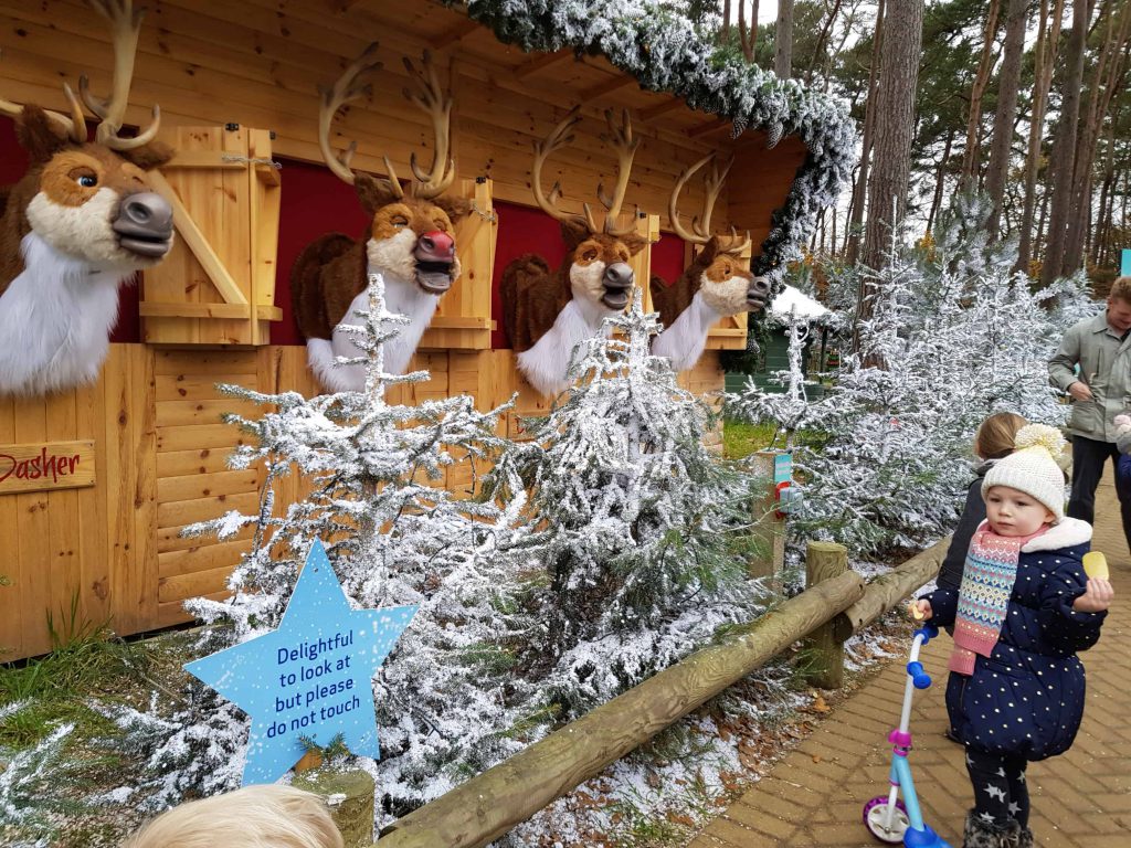 Our trip to Center Parcs / Christmas at Center Parcs Woburn Forest