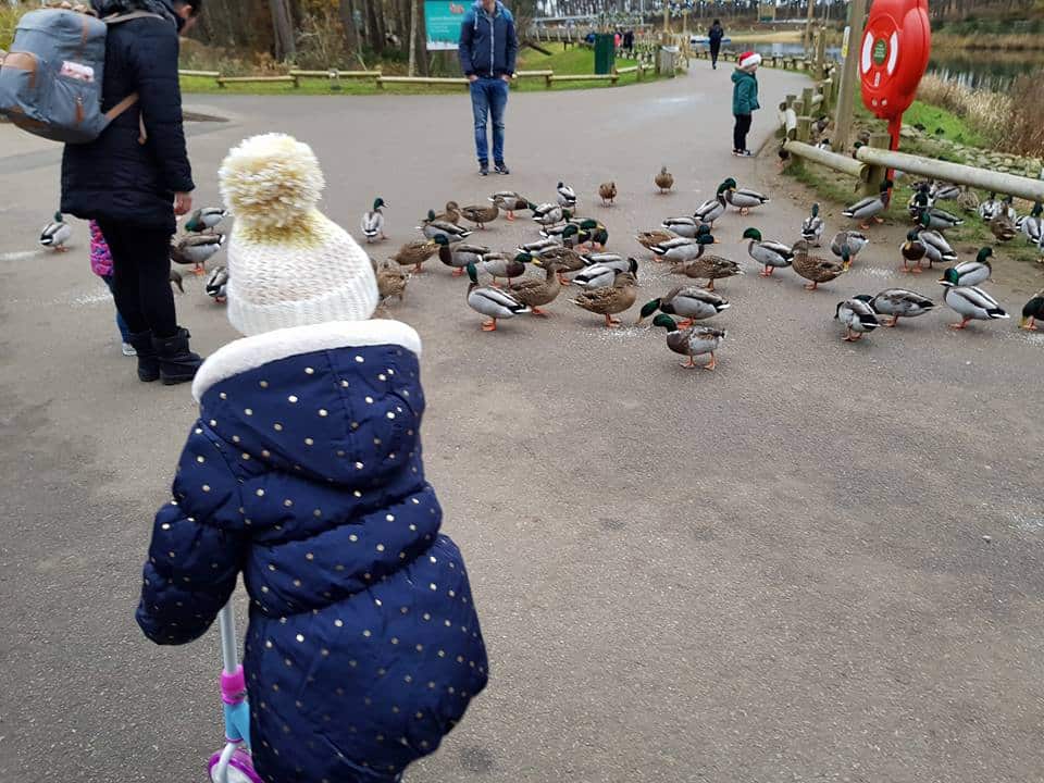 Center Parcs