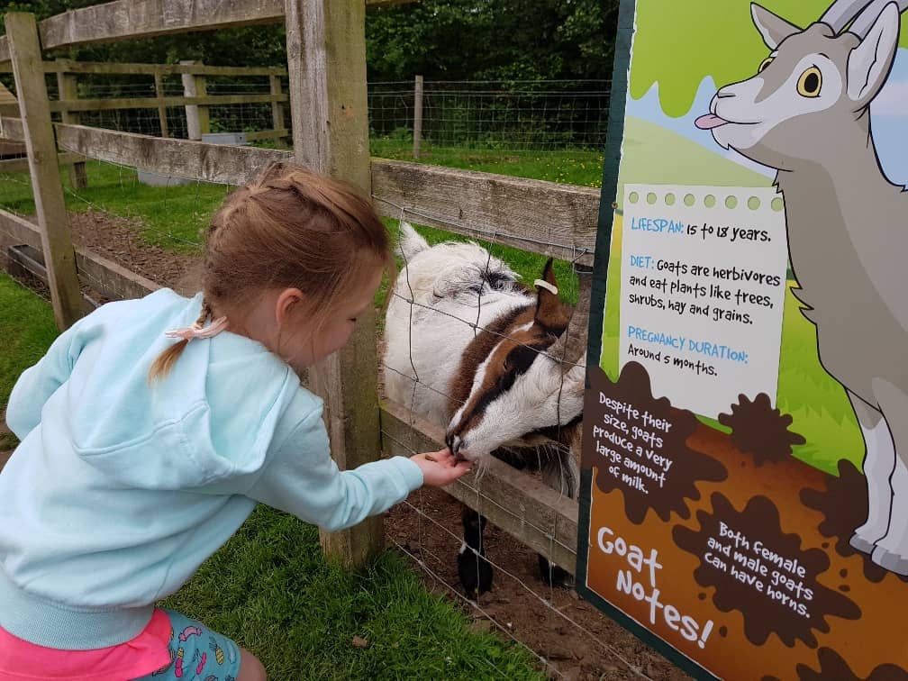 Wellington Country Park - Farm