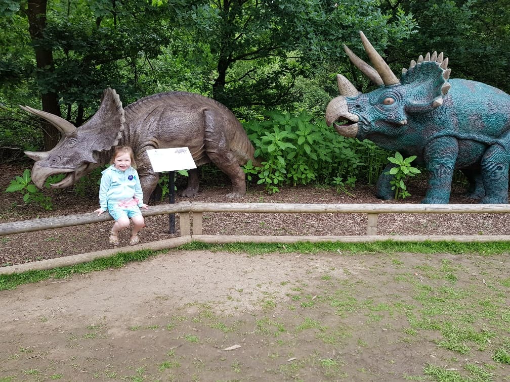 Wellington Country Park - Dinosaurs