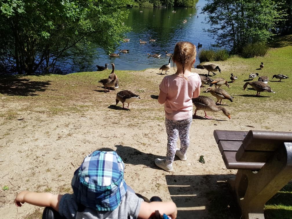 Wellington Country Park - Feeding the ducks