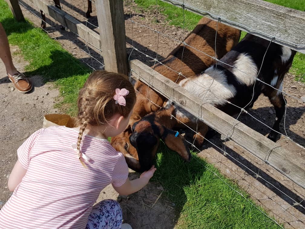 Wellington Country Park - Farm