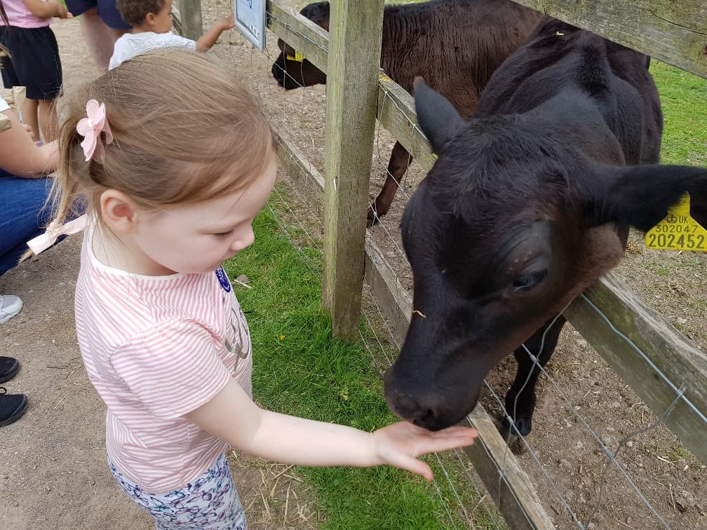 Wellington Country Park - Farm