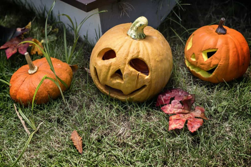 halloween pumpkin