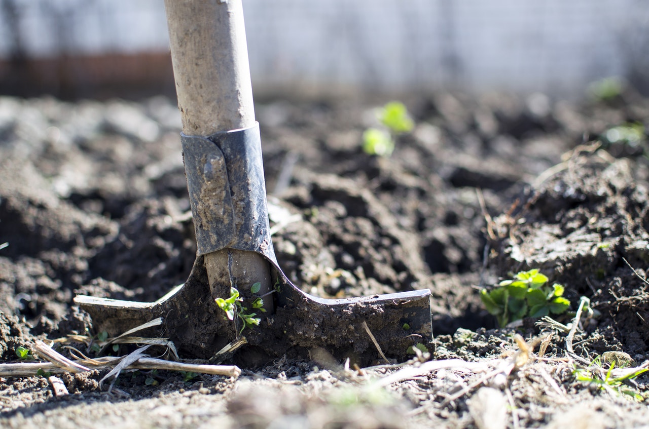 renovating your garden