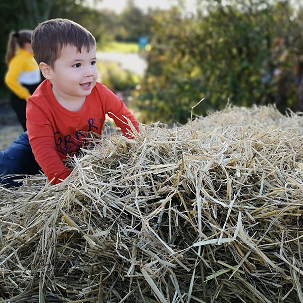 young boy playing in the hay