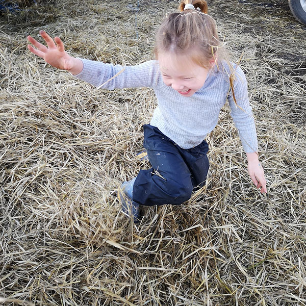 Hay Bales