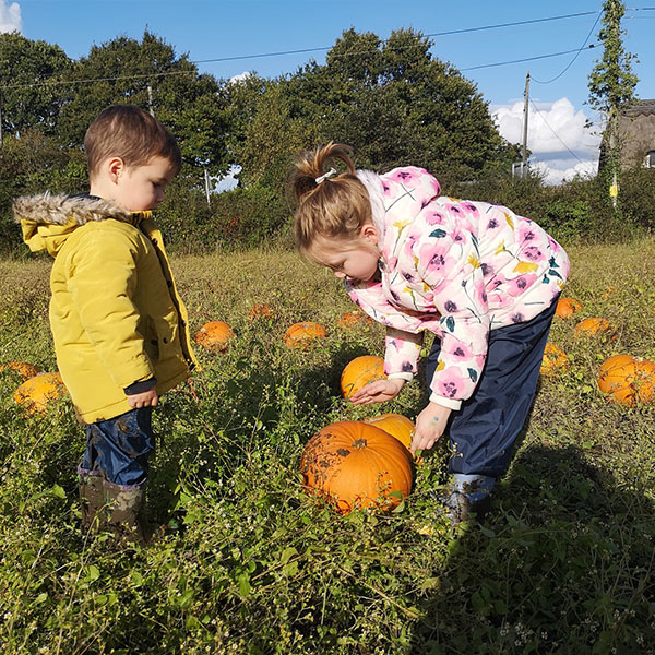 Pumpkin-Picking-Sunnyfields-Farm