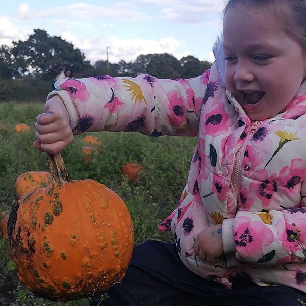 Warty Pumpkins at Sunnyfields Farm