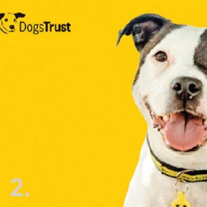 dogs trust logo