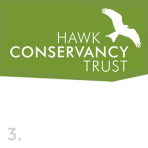 hawk conservancy trust logo