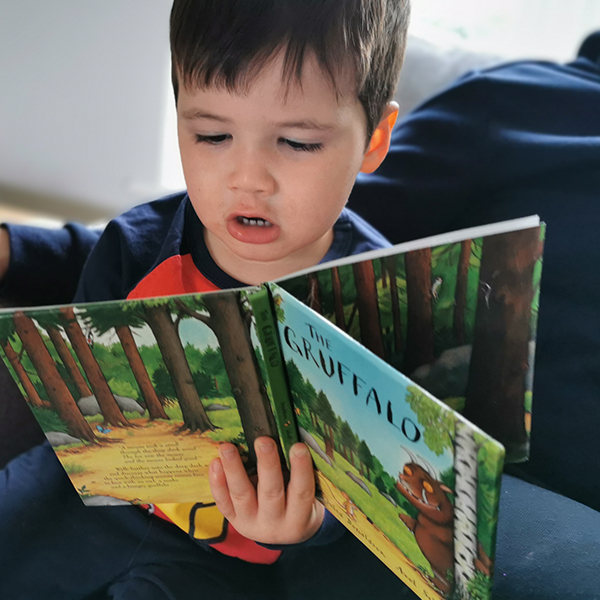 young boy reading a book