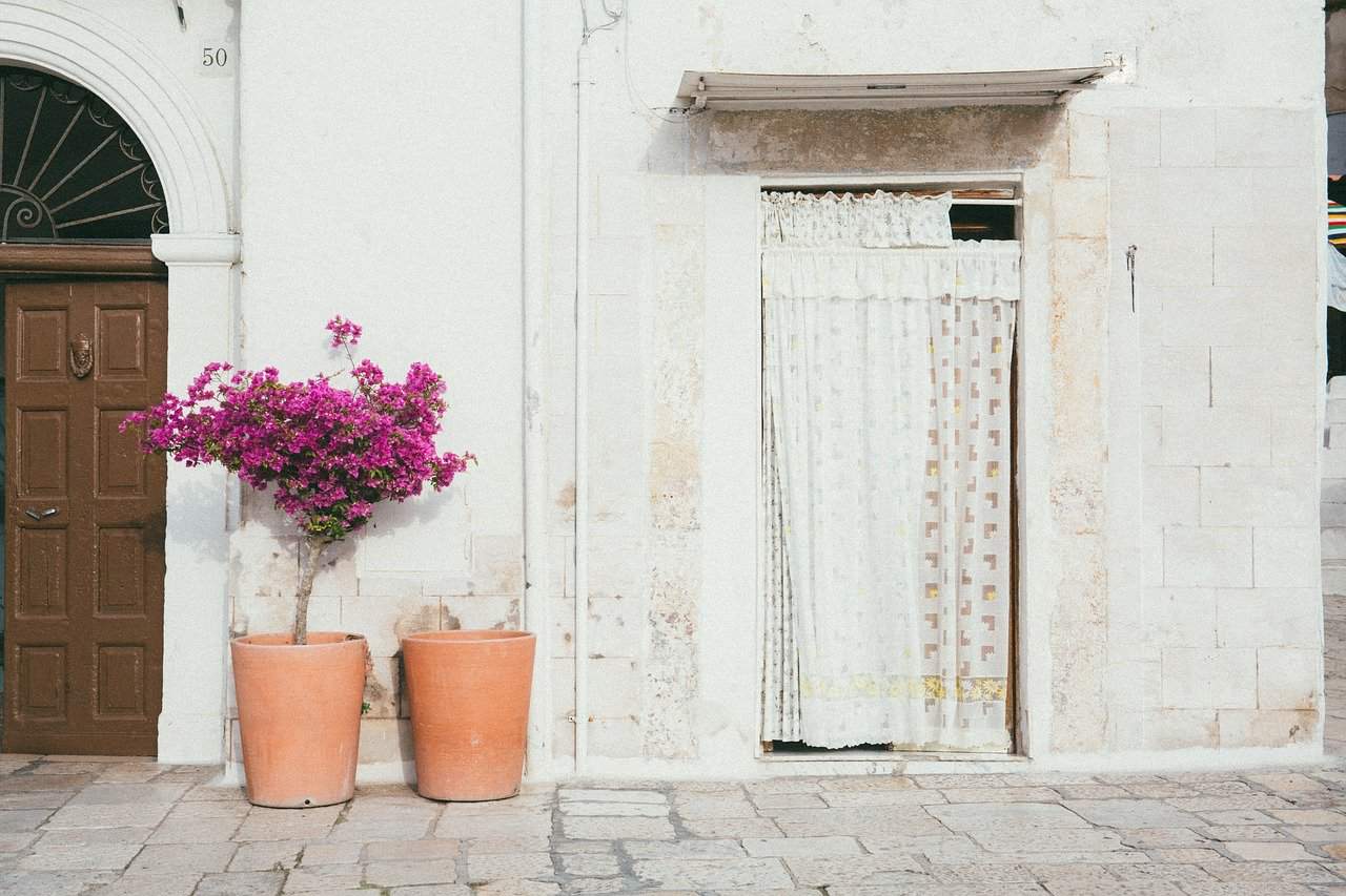 rustic building with plant outside