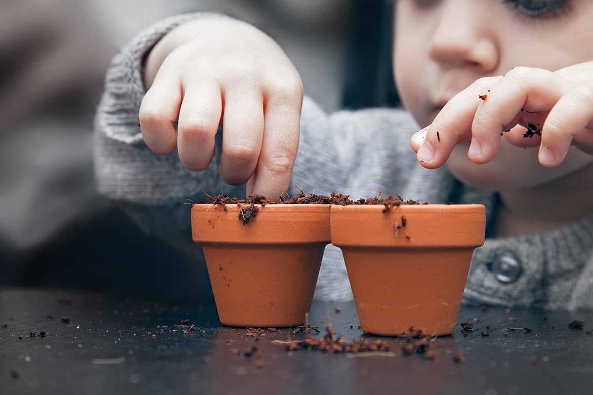 lockdown activity - boy planting seeds