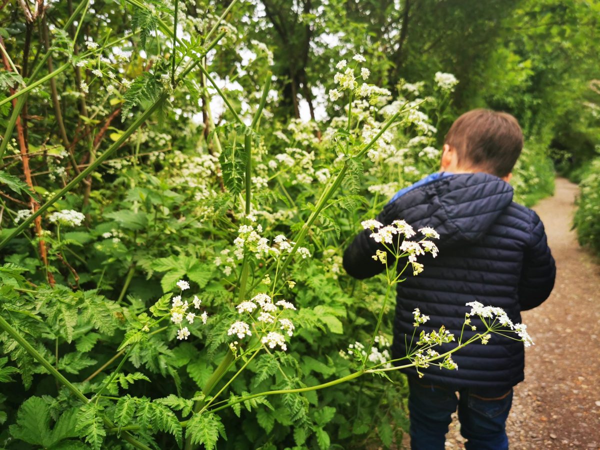 free time? get out in nature!