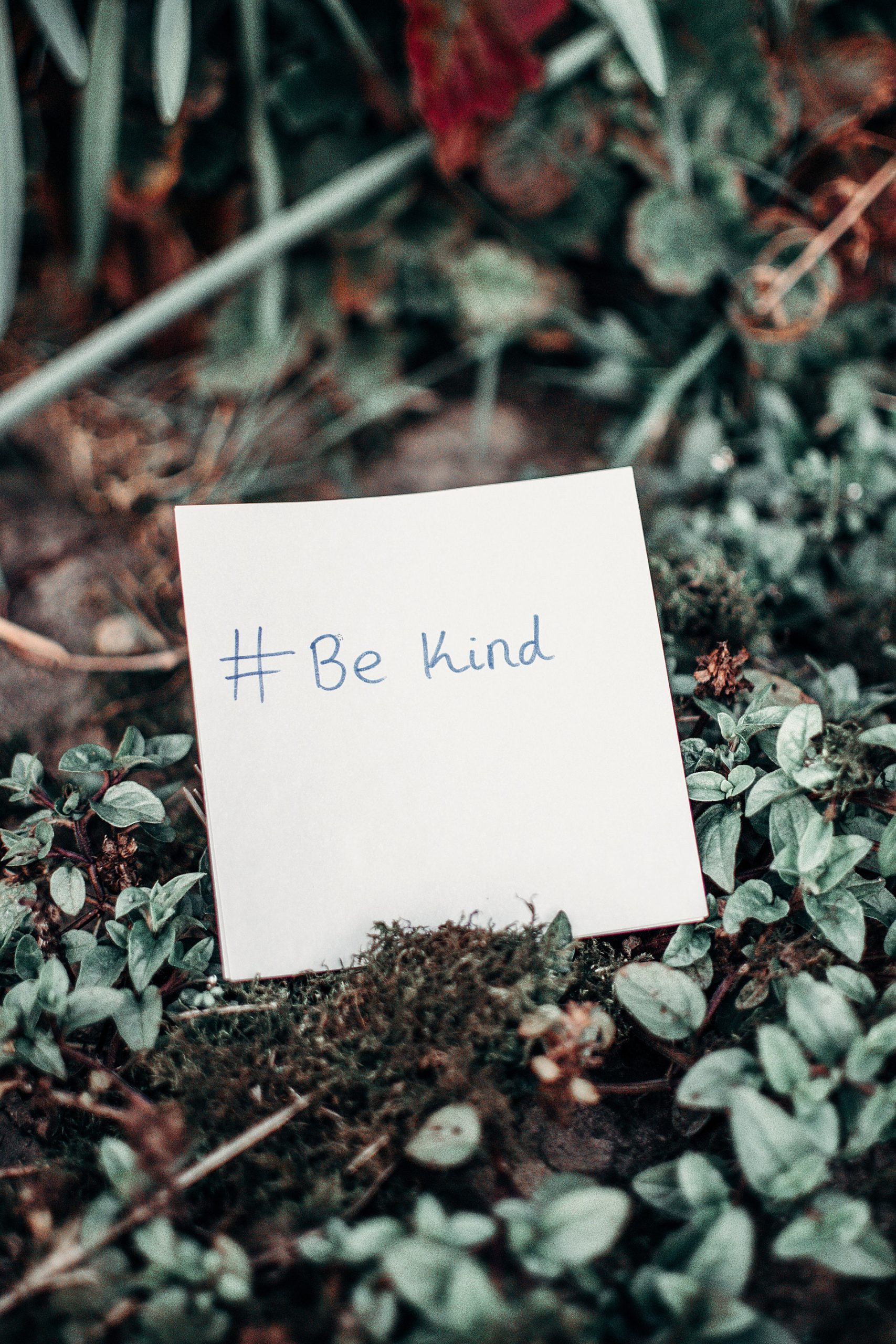 be kind note in garden